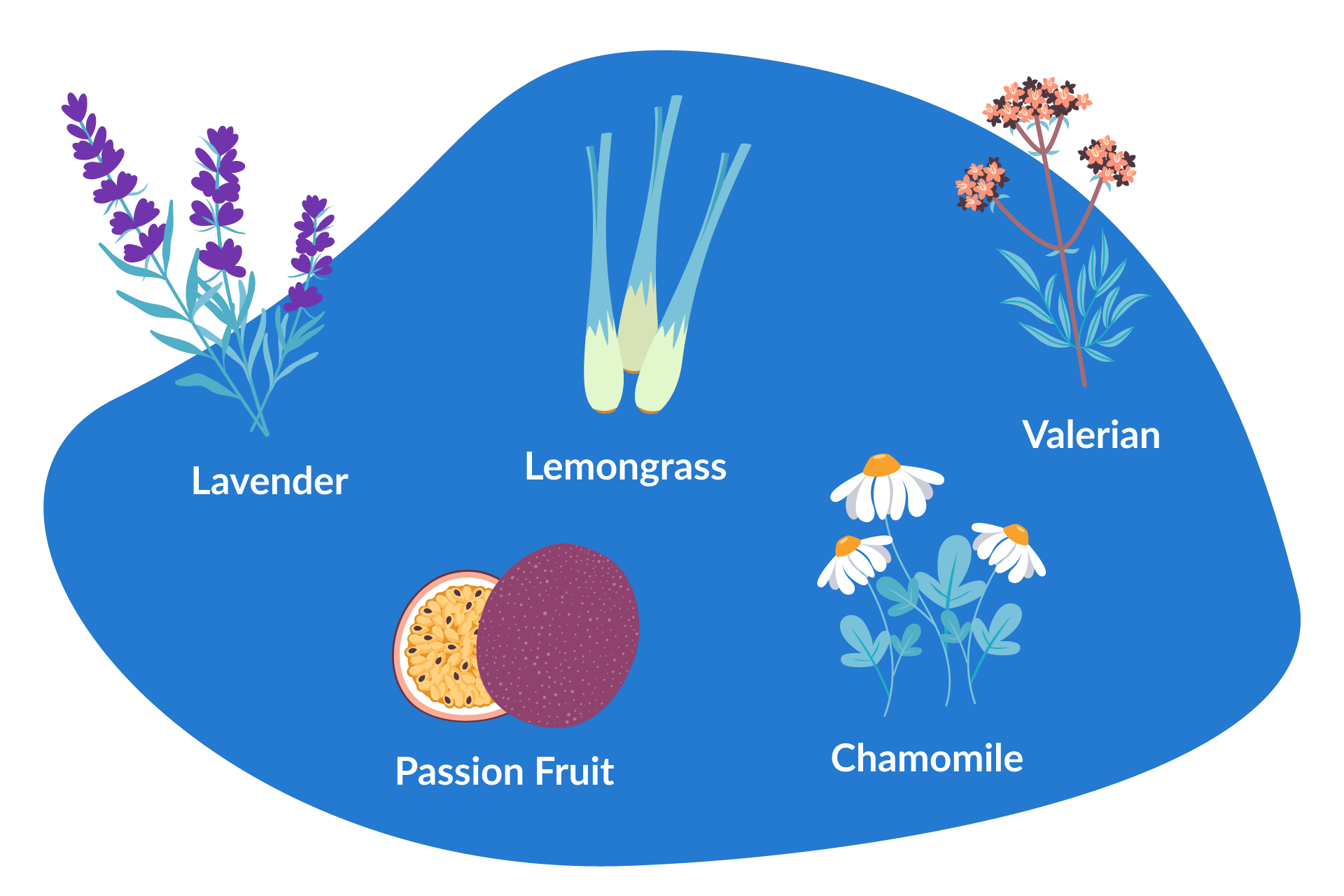 essential oils and herbs